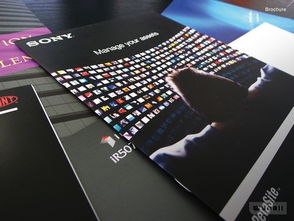 全方位創(chuàng)意服務(wù) 從網(wǎng)頁(yè)設(shè)計(jì)到品牌形象的一站式解決方案